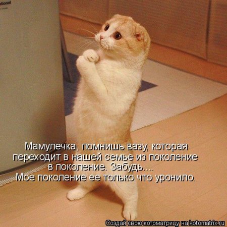 ��������� ����������� ������������..