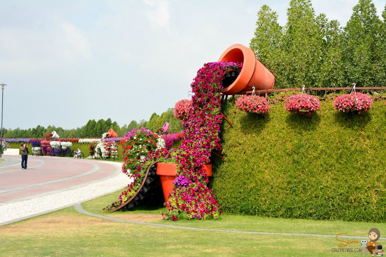 Фантастический  цветочный парк  Дубая Dubai Miracle Garden