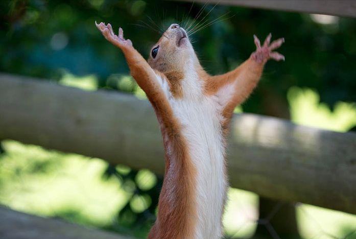 Нас опять спасли. Стало ясно, кто заработает миллиарды на вирусе ЗИКА