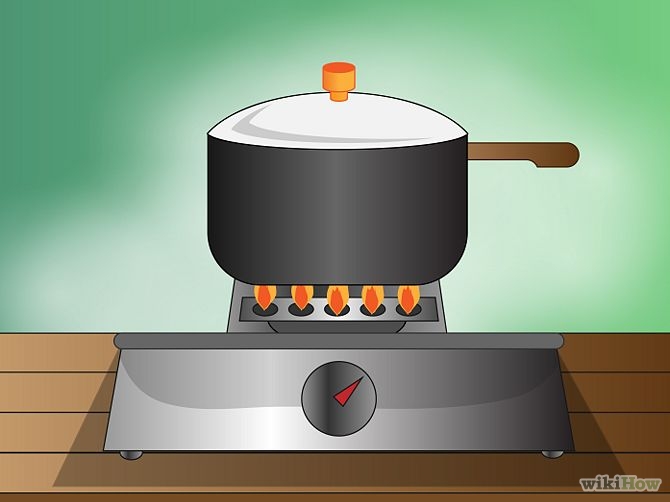 Make Homemade Cat Repellent Step 8.jpg