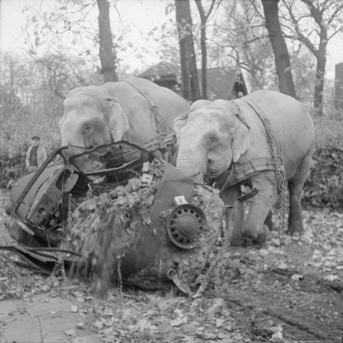 Интересные исторические фотографии