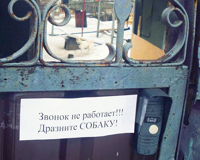 15 творческих объявлений 15 творческих объявлений юмор, креатив, объявления
