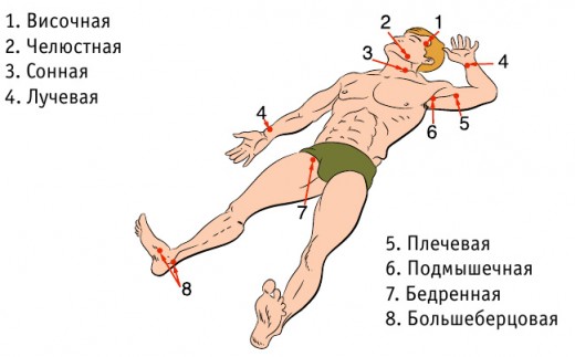 10. Кровотечение Лайфхак, коты, медицина, помощь, факты