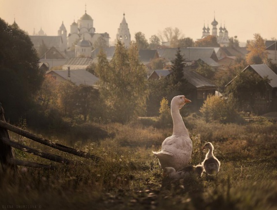 лето в деревне Невероятный по красоте репортаж Елены Шумиловой о жизни в деревне