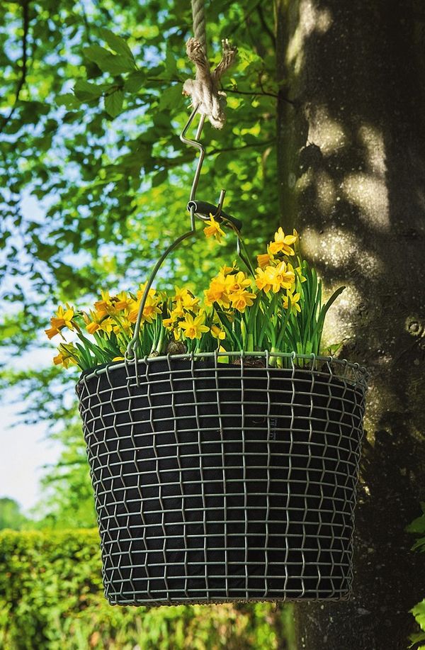 ����� ��������� ����������� ���������� ������� �� ��������� �� ����� ������