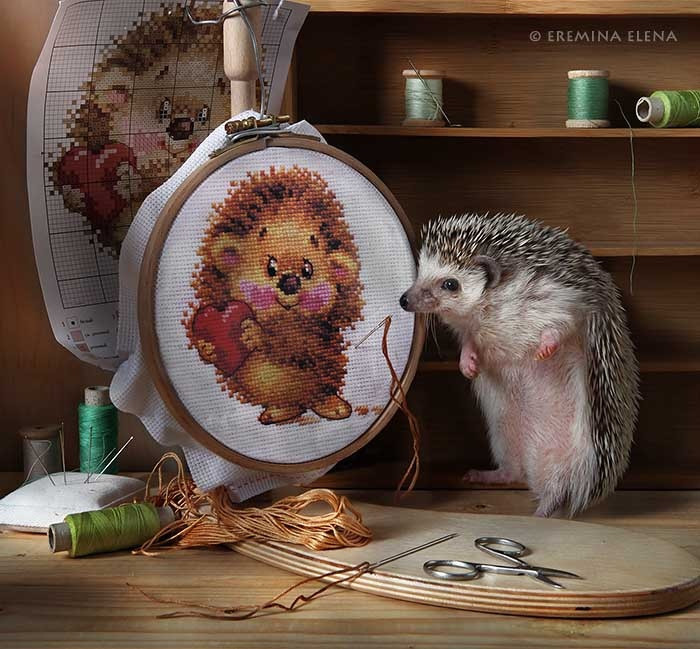     , , 