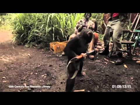 Ape With AK 47 Ape With AK 47