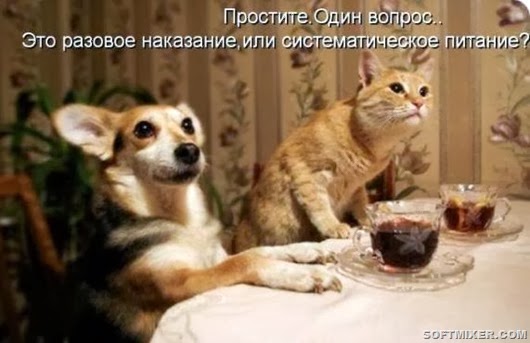 396cbd7f1338d5f282a1192dcc7_prev