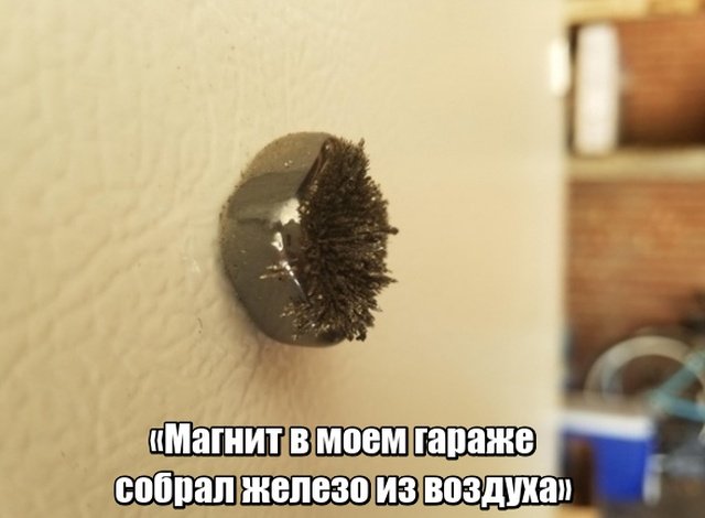 Неожиданные и необычные фото Неожиданные и необычные фото