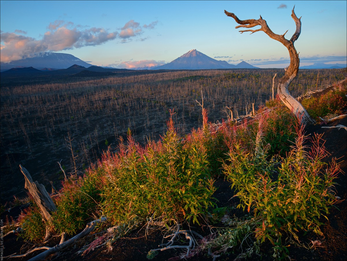 KamchatkaDreaming15 Kamchatka Dreaming — большое камчатское путешествие