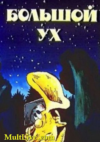 животные, интересное, красотка, фото, факты