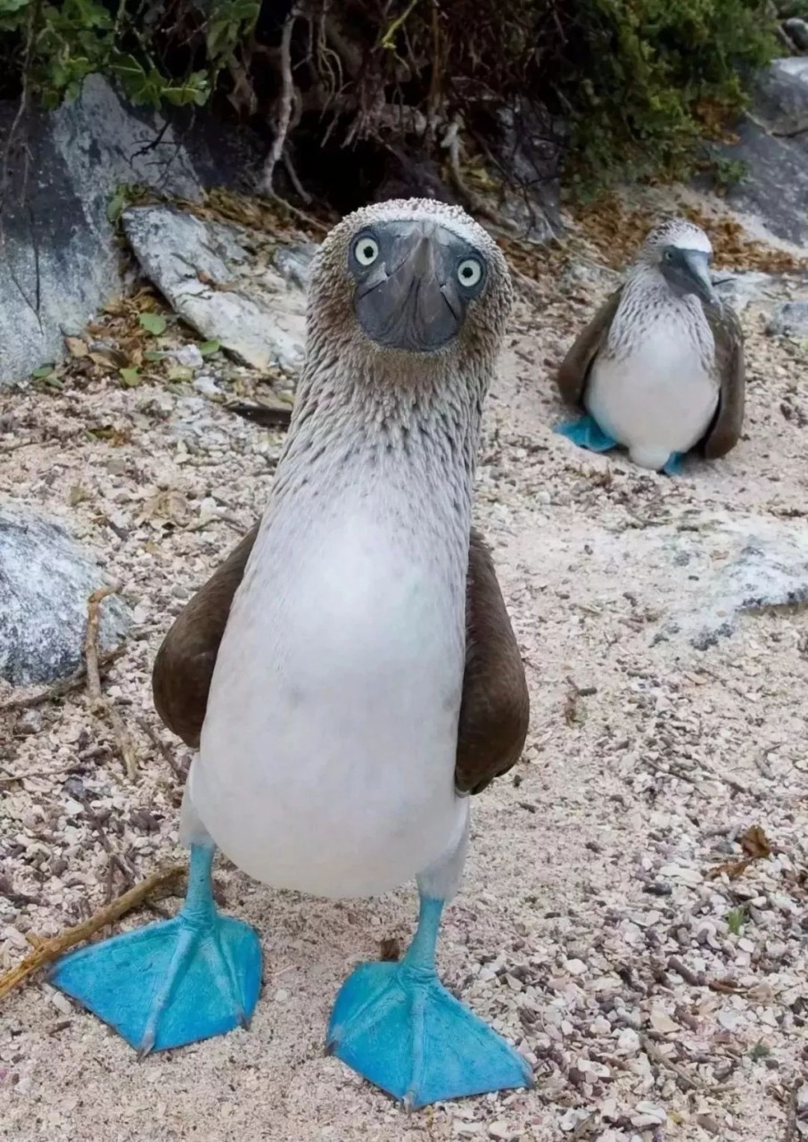 Весьма фотогеничны
