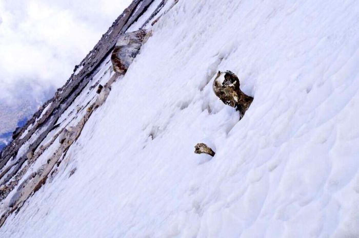 В горах Алтая обнаружили вмерзшее в лед тело альпиниста ОТР