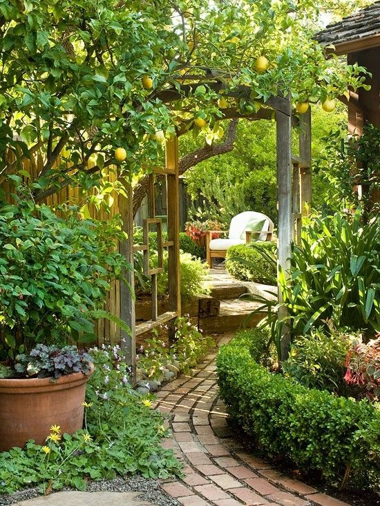Идеи дизайна садовых двориков