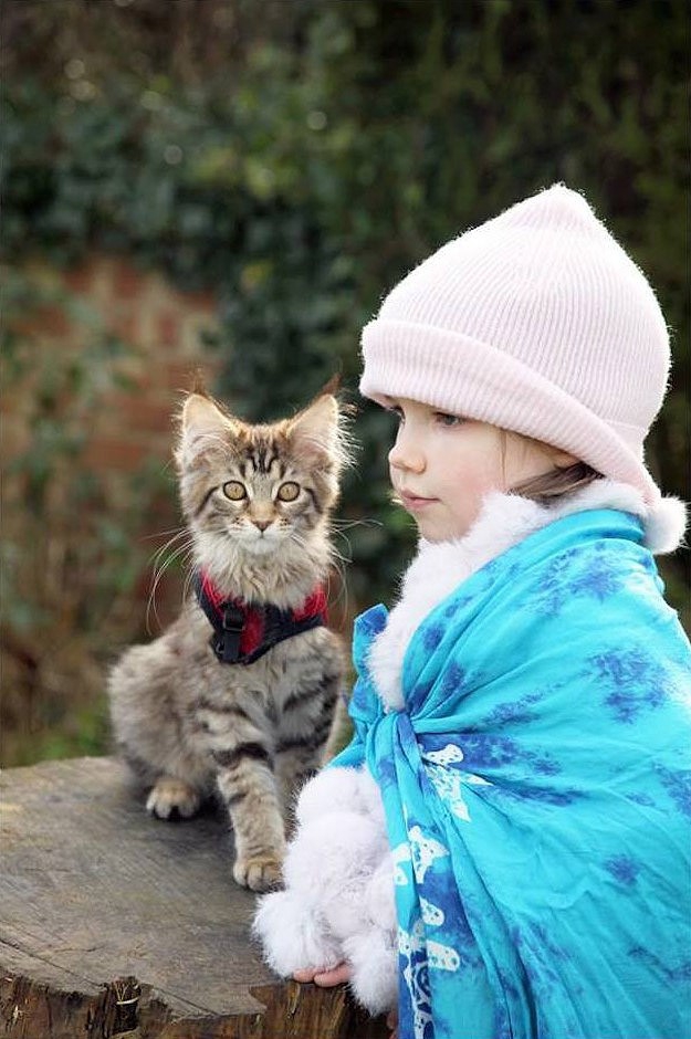 Как кошка Тула помогает девочке с аутизмом дети, доброты пост, животные