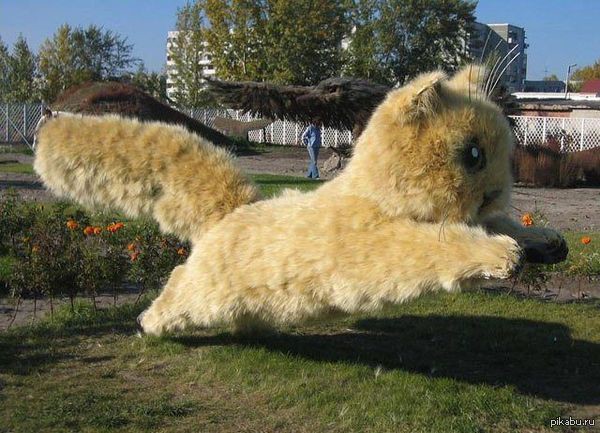 Симпатичная статуя котёнка из пушистых стебельков дикого ячменя животные, факты