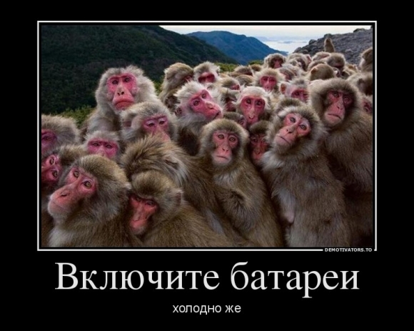 "Заплати за отопление и мерзни спокойно". Фото 5