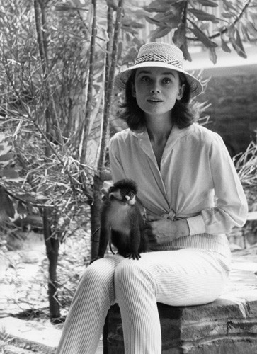 15_0649_hepburn_the_nuns_story_monkey_on_lap_1_portrait 15_0649_hepburn_the_nuns_story_monkey_on_lap_1_portrait