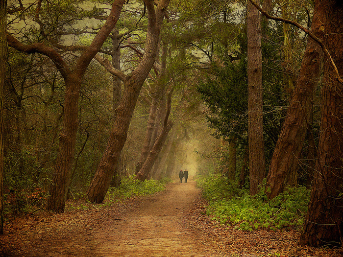     : Lars van de Goor