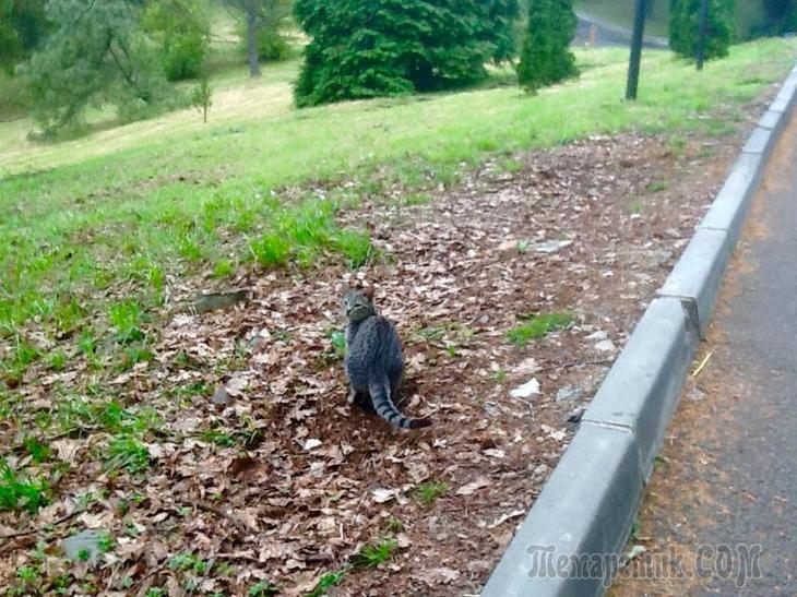 Сочинский дендропарк