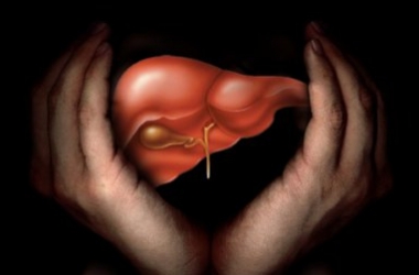 Как привести печень в норму