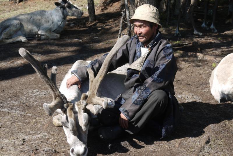 оленевод из народности цаатанов в Монголии с оленями