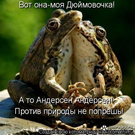    ( 2)