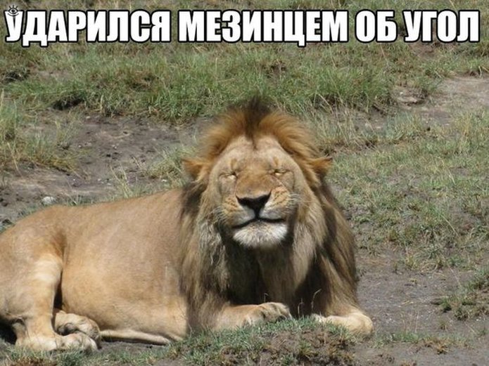 Прикольная ерундистика 27