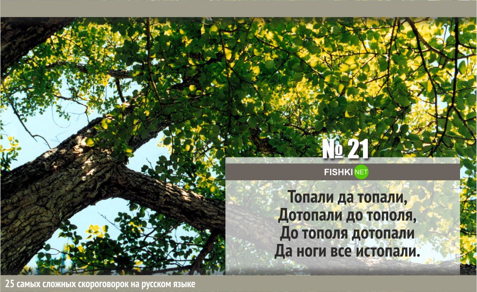 25 самых сложных скороговорок на русском языке интересное, русский язык, скороговорки