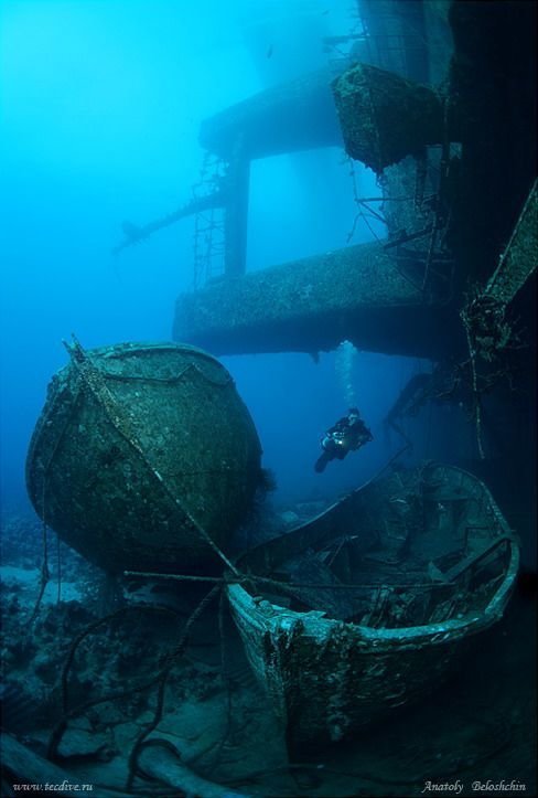 И конечно же корабли жизнь, затонувшие, под водой, страшно, техника, удивительно