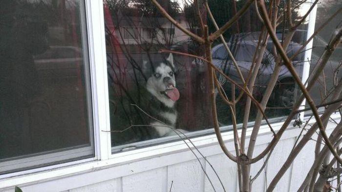 Подборка картинок Подборка картинок картинки, приколы