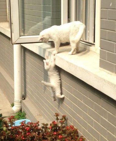 4045361_c9c513bc440844e79165ba8e6adfa71e (409x495, 46Kb)