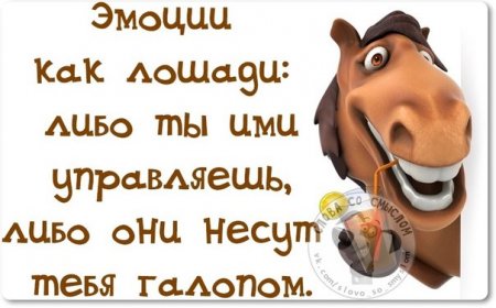 , , 