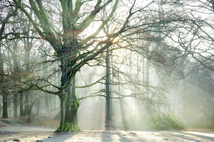     : Lars van de Goor