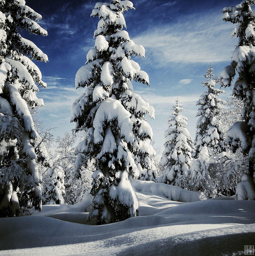 Зимние пейзажи Зимние пейзажи зимние, красивые, фото