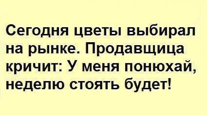 ПРАВДА ЖИЗНИ.  )))))))