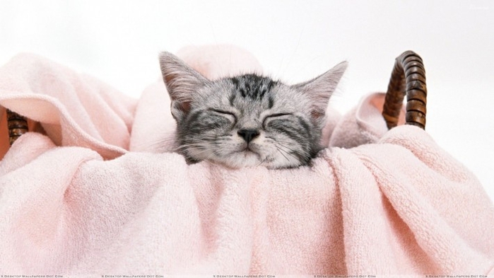 1392535972_krasivye-kartinki-na-rabochiy-stol-60 (700x393, 160Kb)