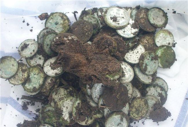 клад, монеты, находка