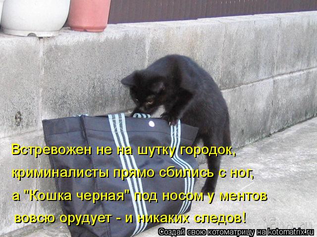 Позитив на пятницу