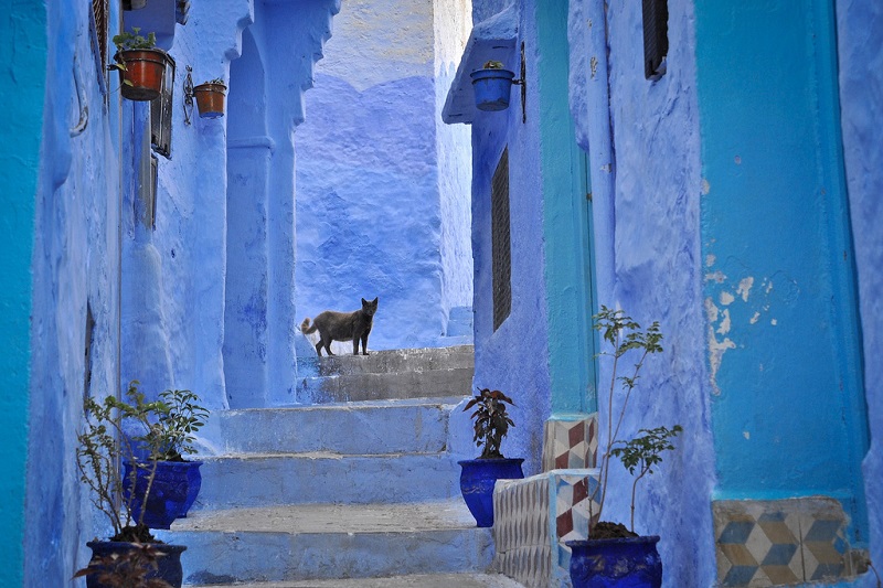 Шефшауэн &ndash; синий город в Марокко. Фото