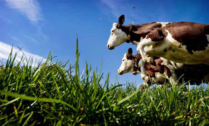 Весенние дни