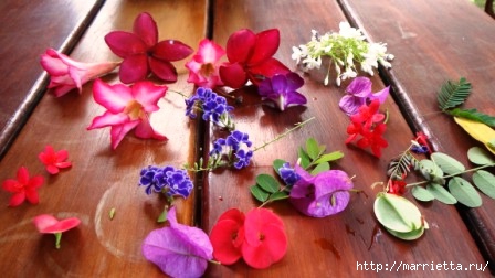 как сделать свечу с сухоцветами своими руками (5) (448x252, 86Kb)