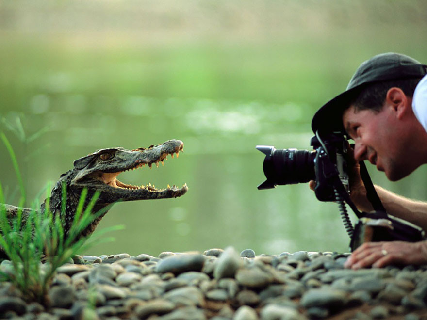 33 причины, почему фотограф дикой природы — лучшая профессия в мире