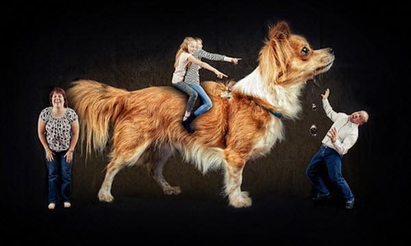 Именно так должна выглядеть семейная фотосессия! 20 идей для самых лучших снимков.