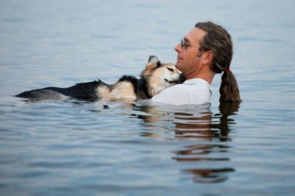 собака в озере