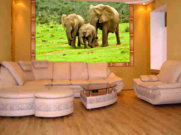 Фотообои с 3D эффектом присутствия Фотообои с 3D эффектом присутствия