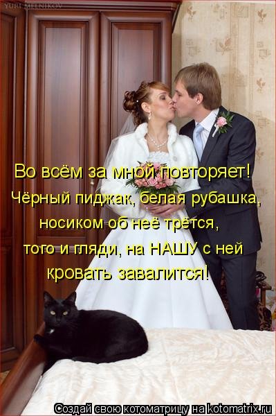    ( 2)