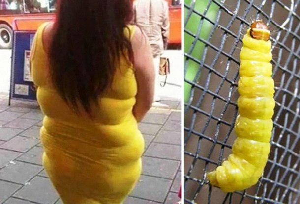 giveitlove.com-Yellow-Dress-and-a-Caterpillar