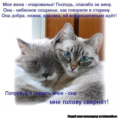 ��������� ����������� ������������..