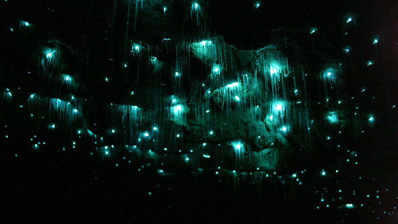 waitomo-glowworm-caves-new-zealand-3
